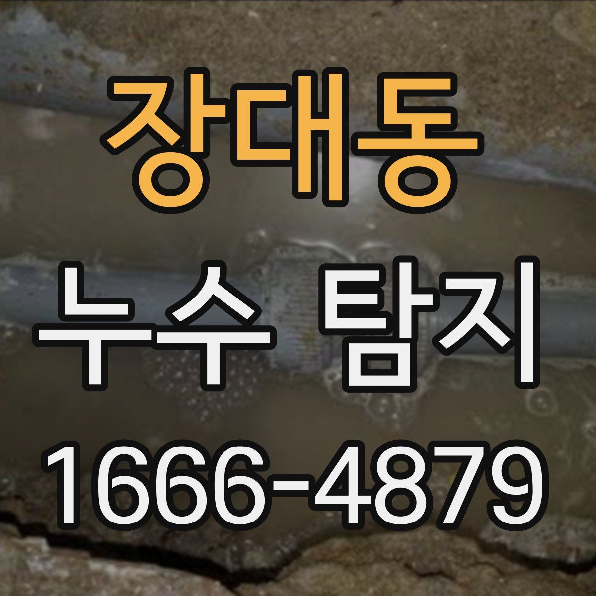 장대동 누수 탐지