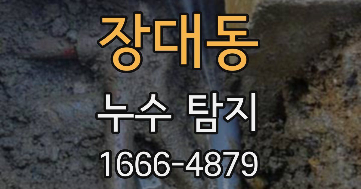 장대동 누수 탐지