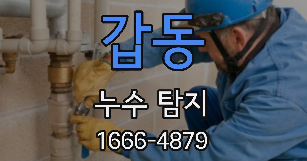 갑동 누수 탐지