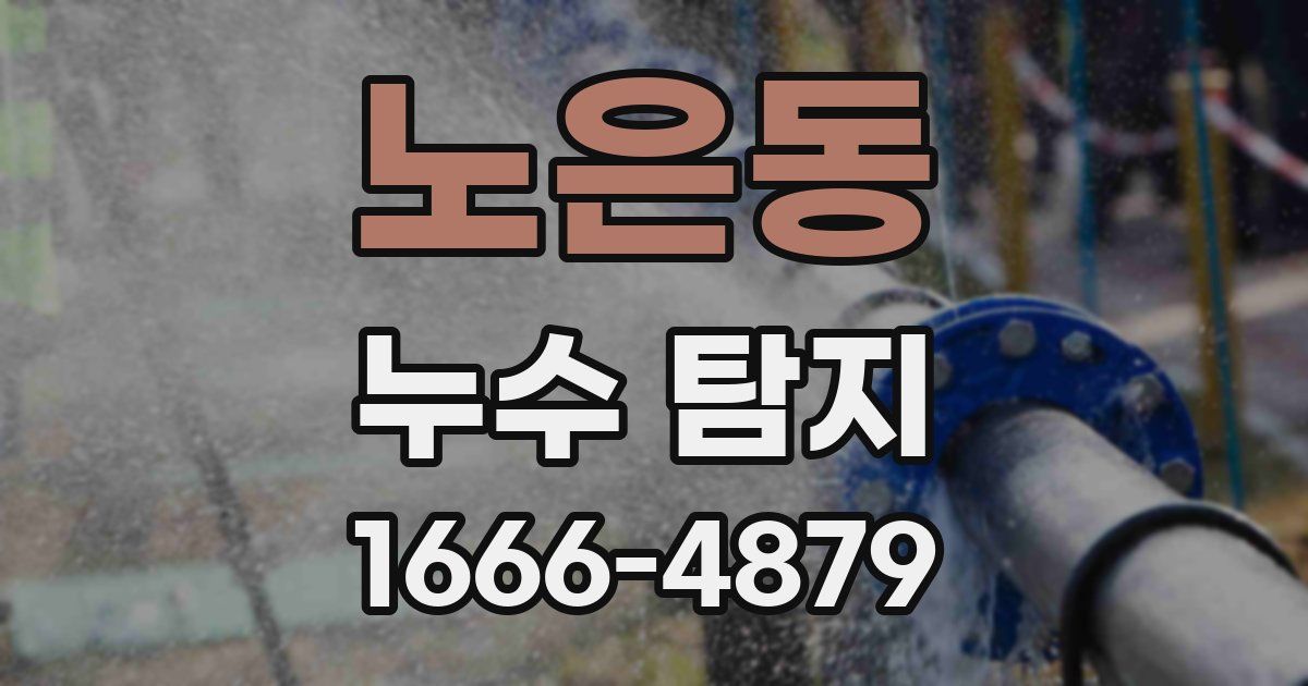 노은동 누수 탐지