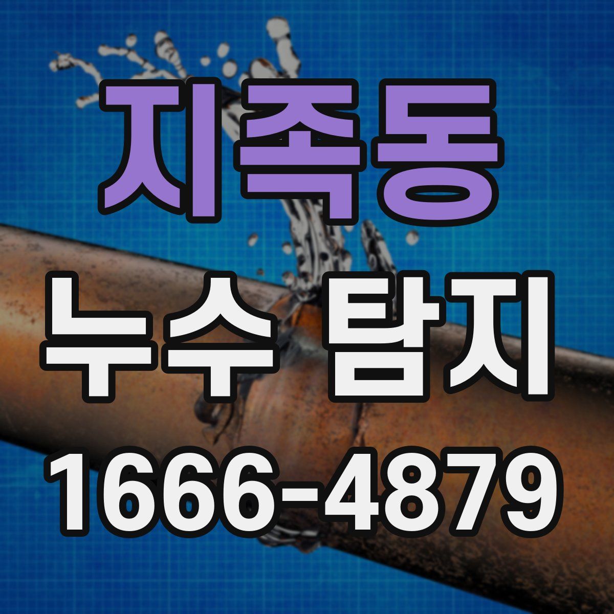 지족동 누수 탐지