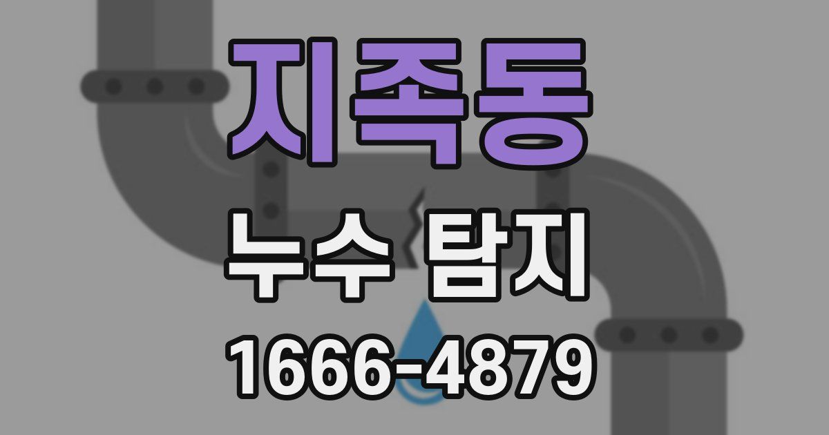 지족동 누수 탐지