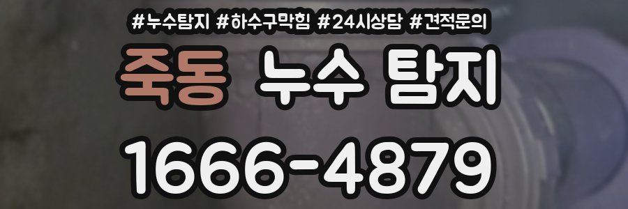 죽동 누수 탐지