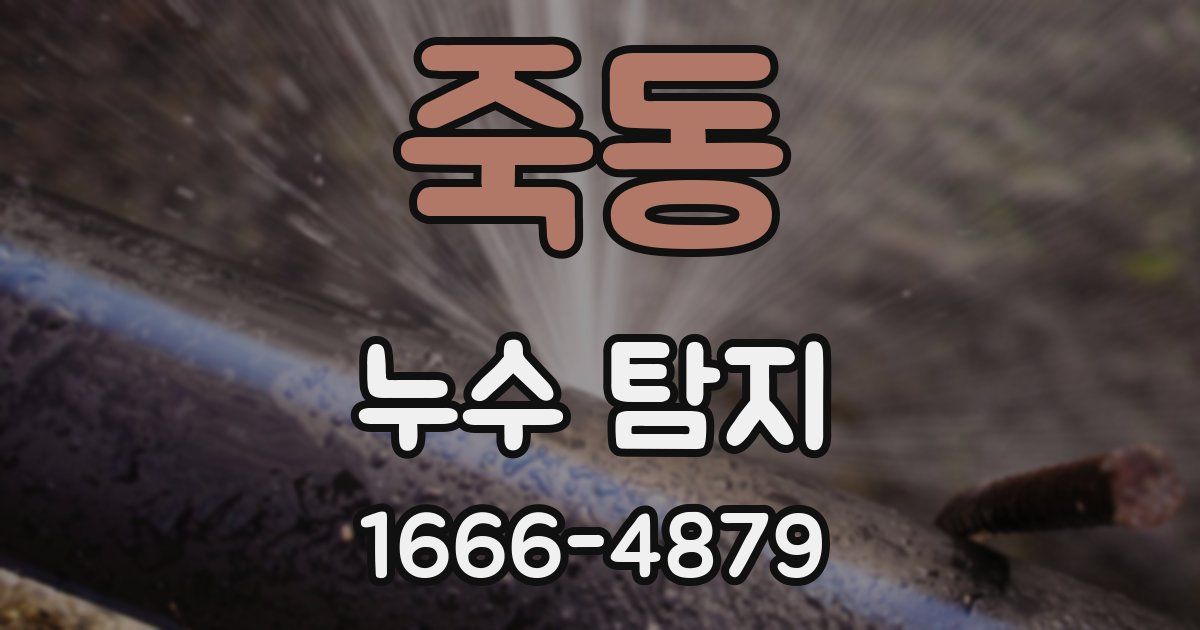 죽동 누수 탐지