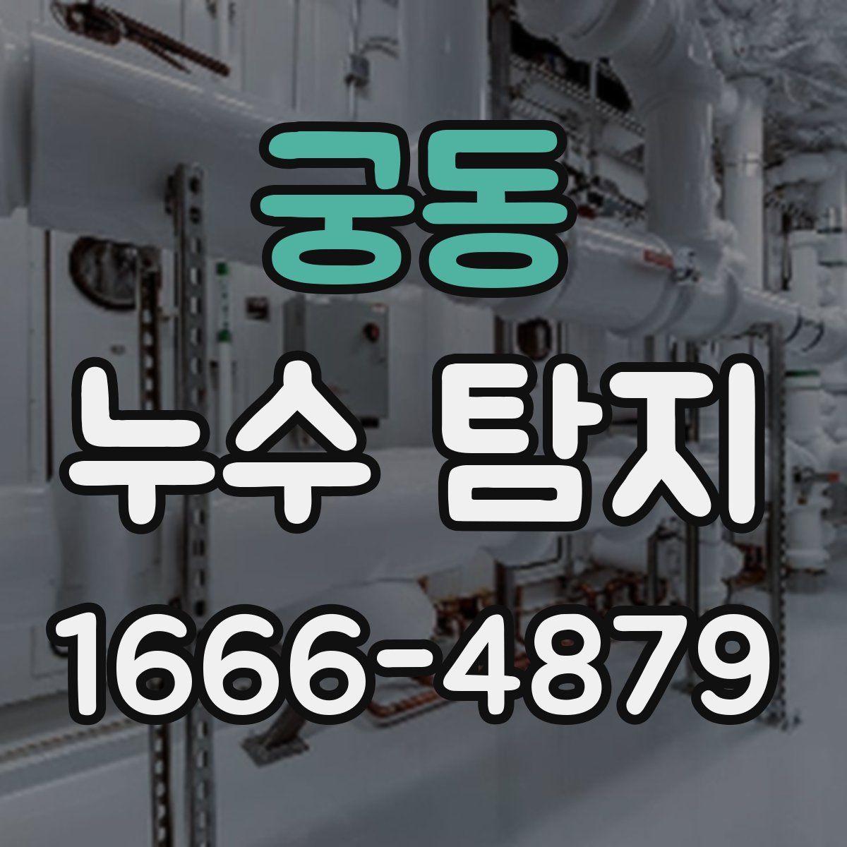 궁동 누수 탐지