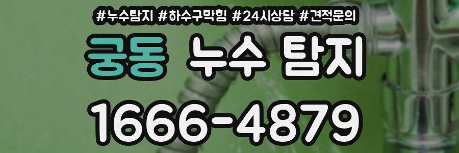 궁동 누수 탐지