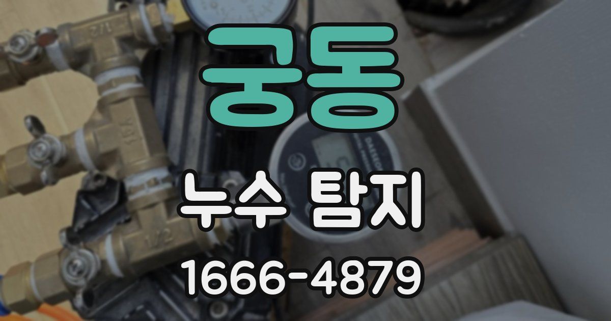 궁동 누수 탐지