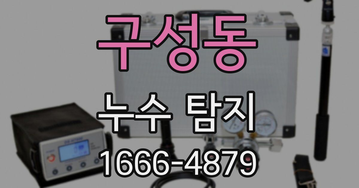 구성동 누수 탐지