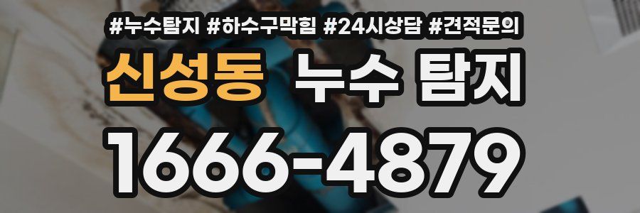 신성동 누수 탐지