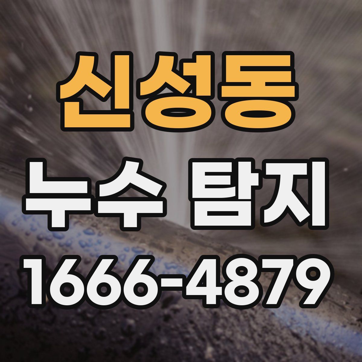 신성동 누수 탐지