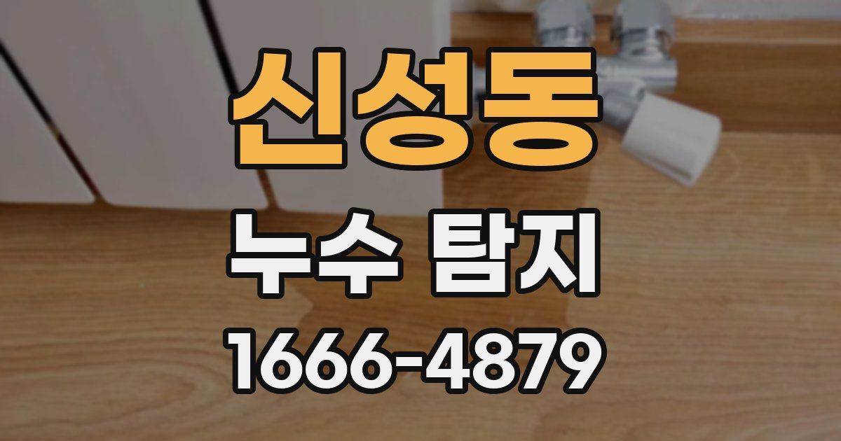 신성동 누수 탐지