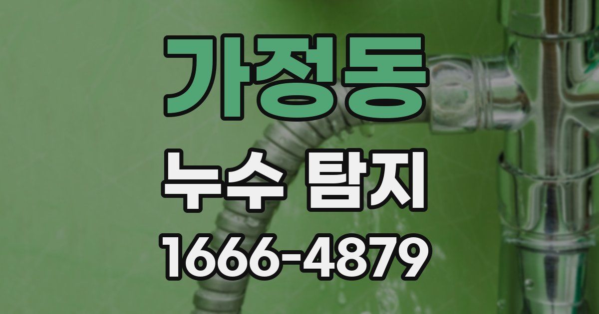 가정동 누수 탐지