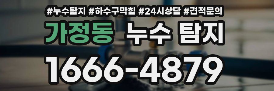 가정동 누수 탐지