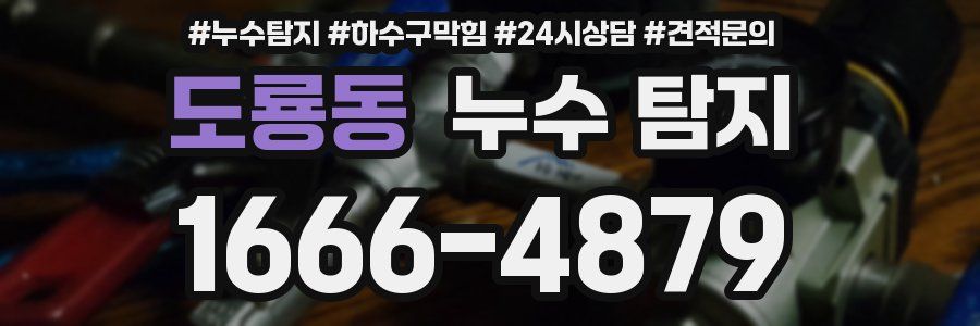 도룡동 누수 탐지
