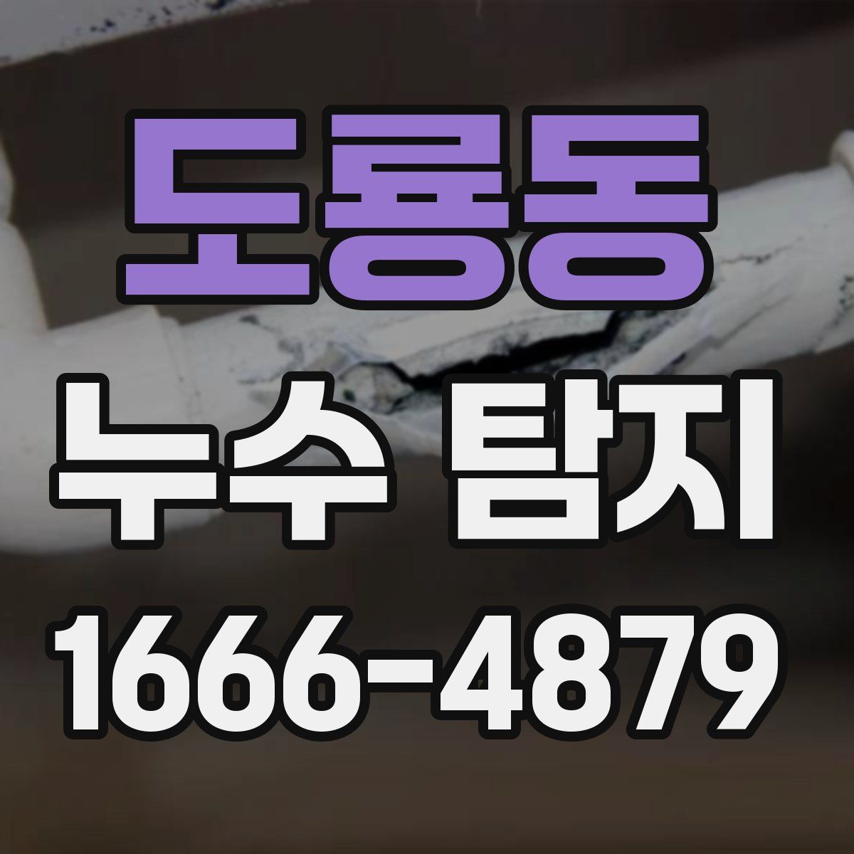 도룡동 누수 탐지