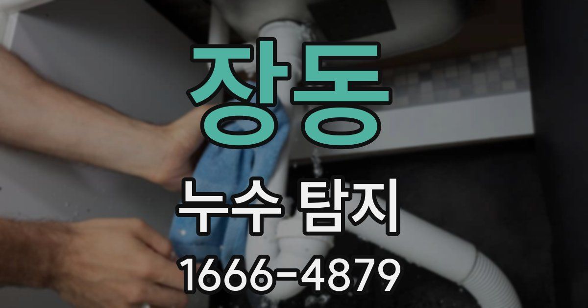 장동 누수 탐지