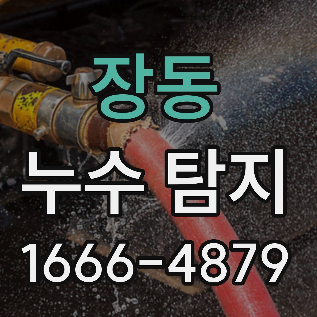 장동 누수 탐지