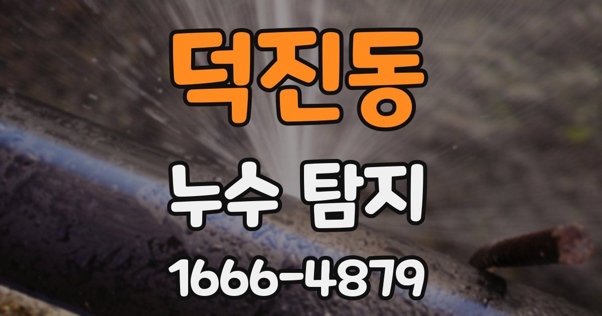 덕진동 누수 탐지