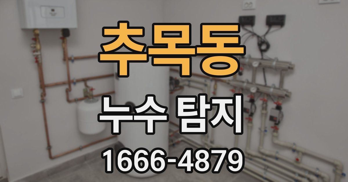 추목동 누수 탐지