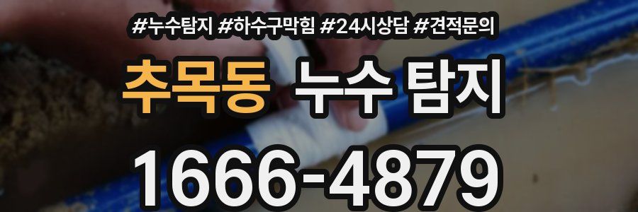 추목동 누수 탐지