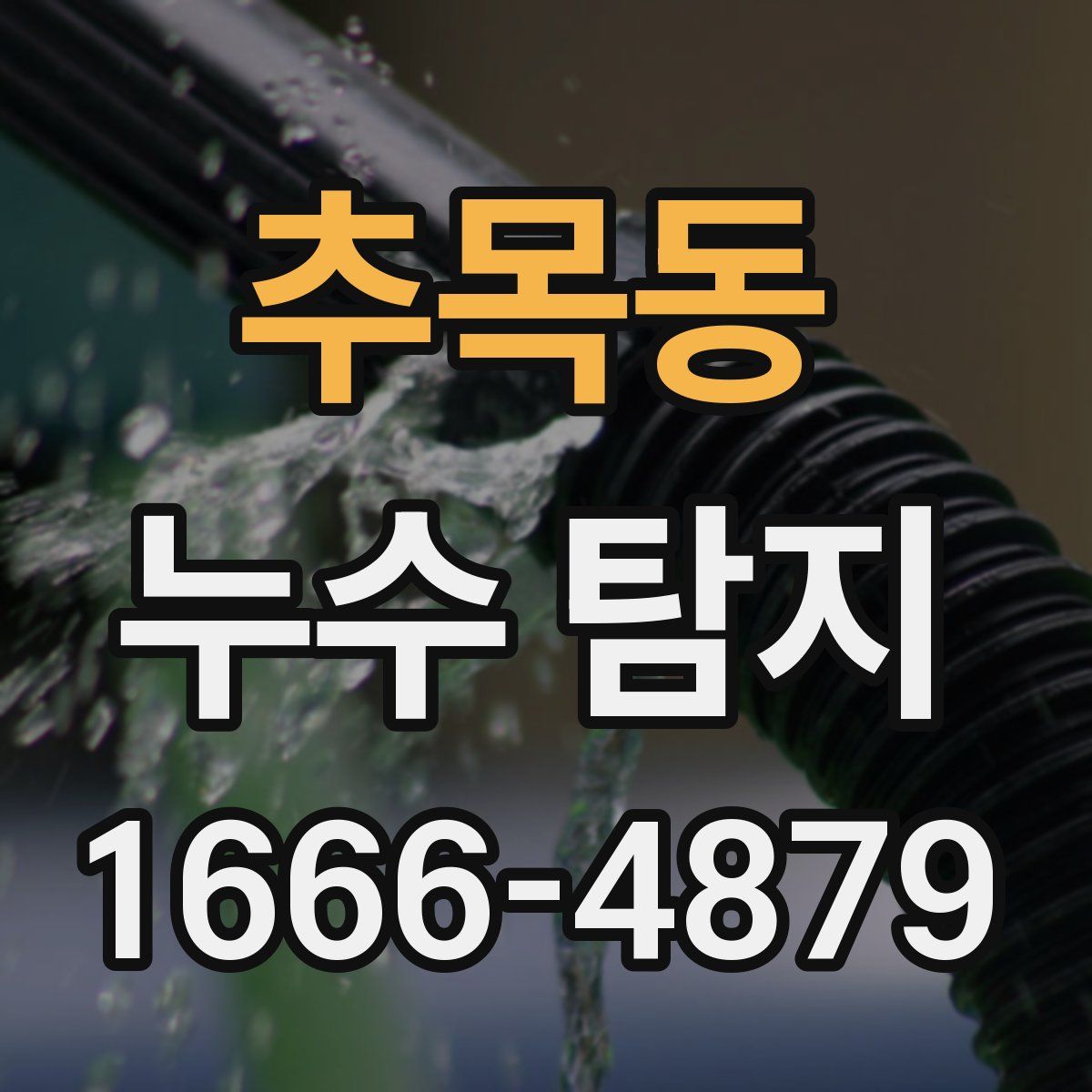 추목동 누수 탐지