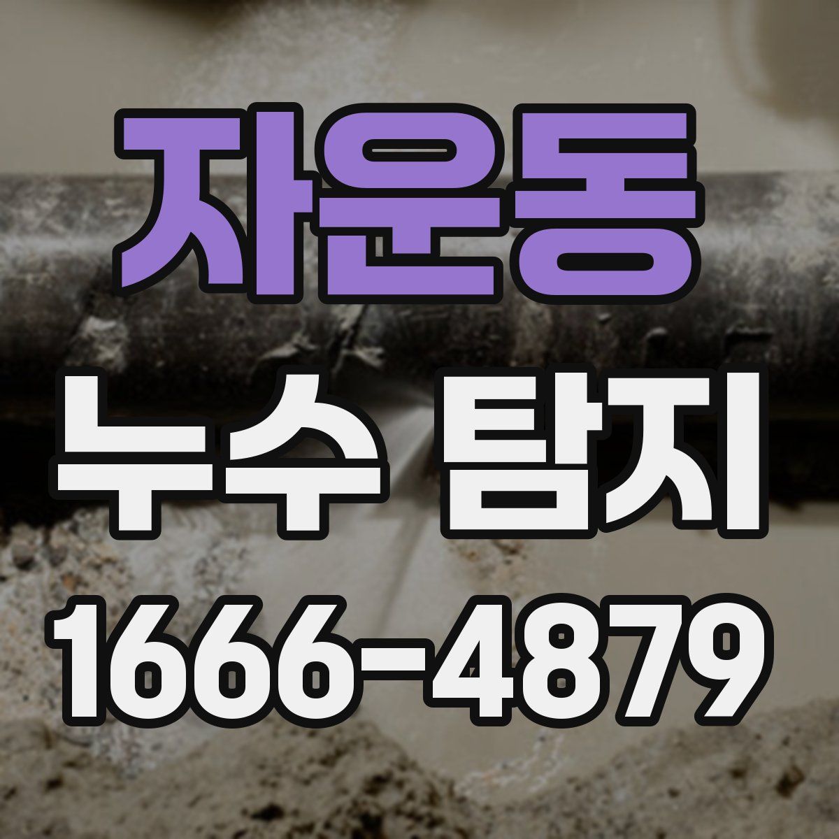 자운동 누수 탐지