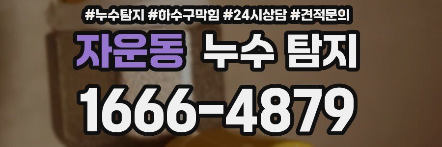 자운동 누수 탐지