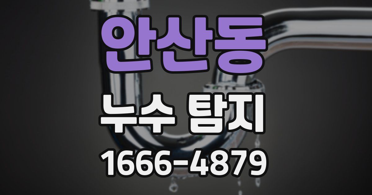 안산동 누수 탐지