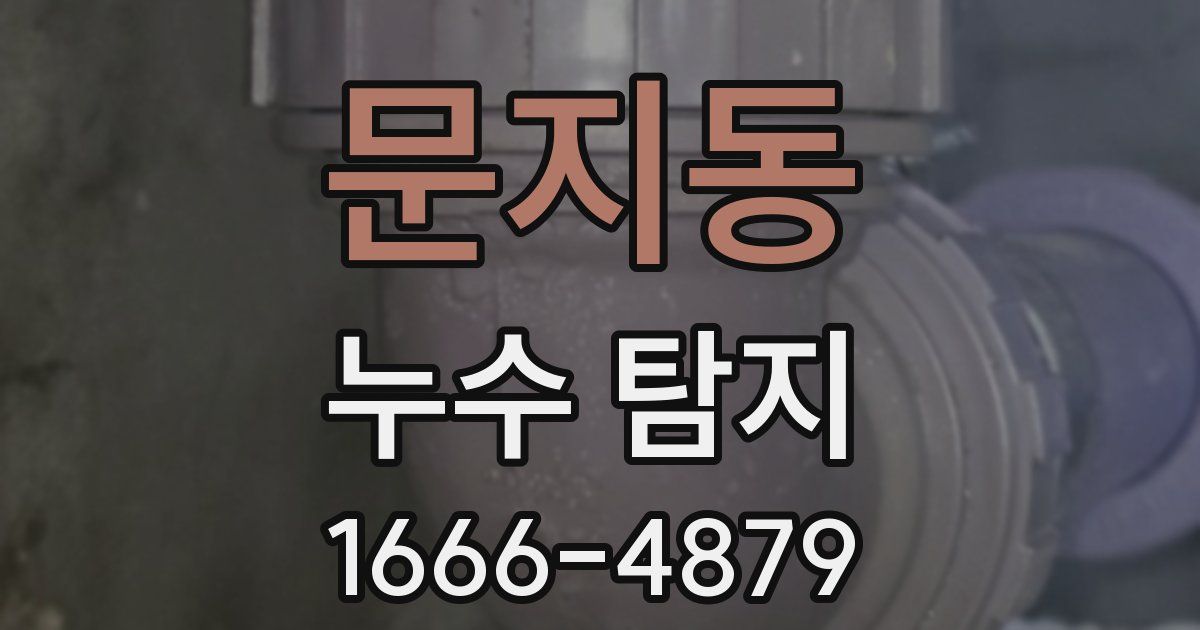 문지동 누수 탐지