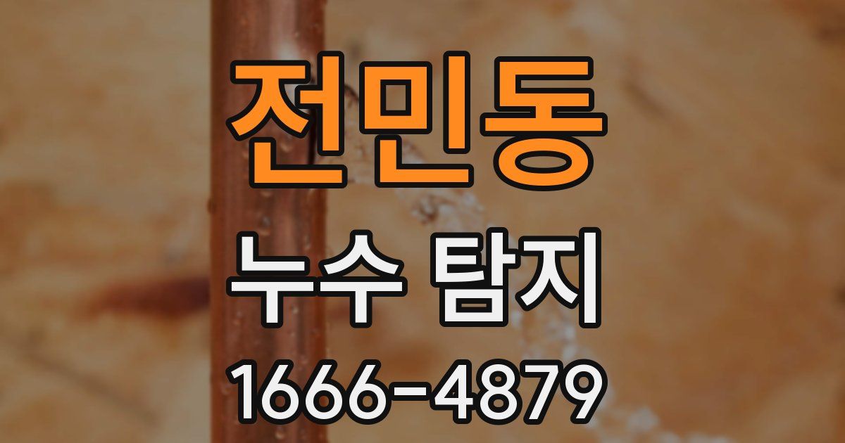 전민동 누수 탐지