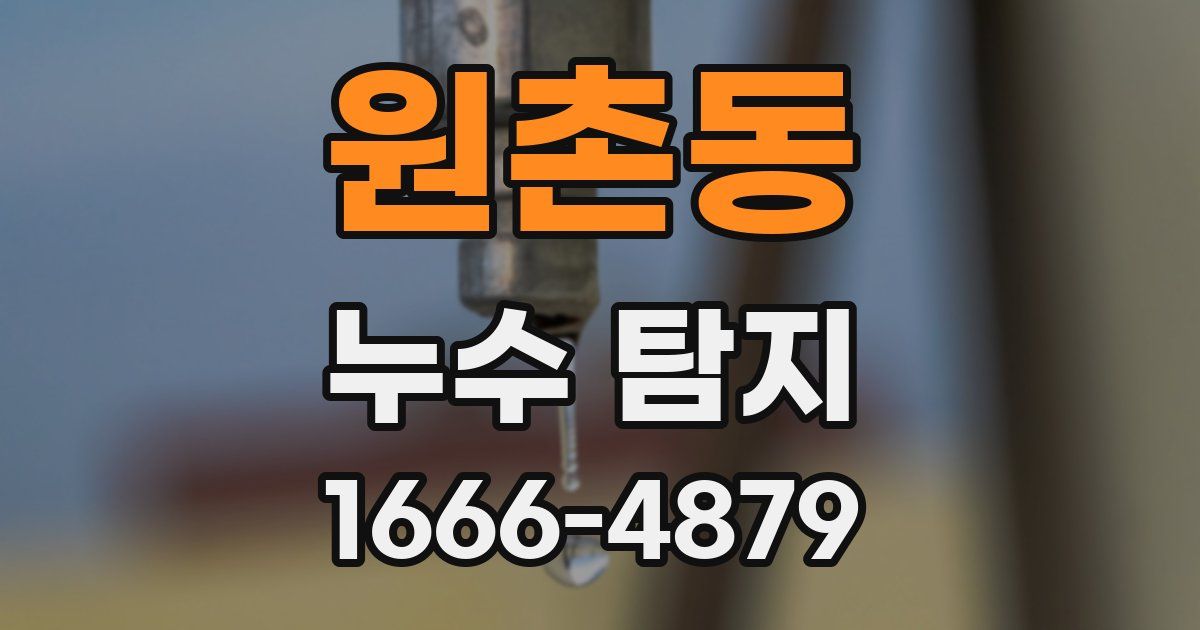 원촌동 누수 탐지
