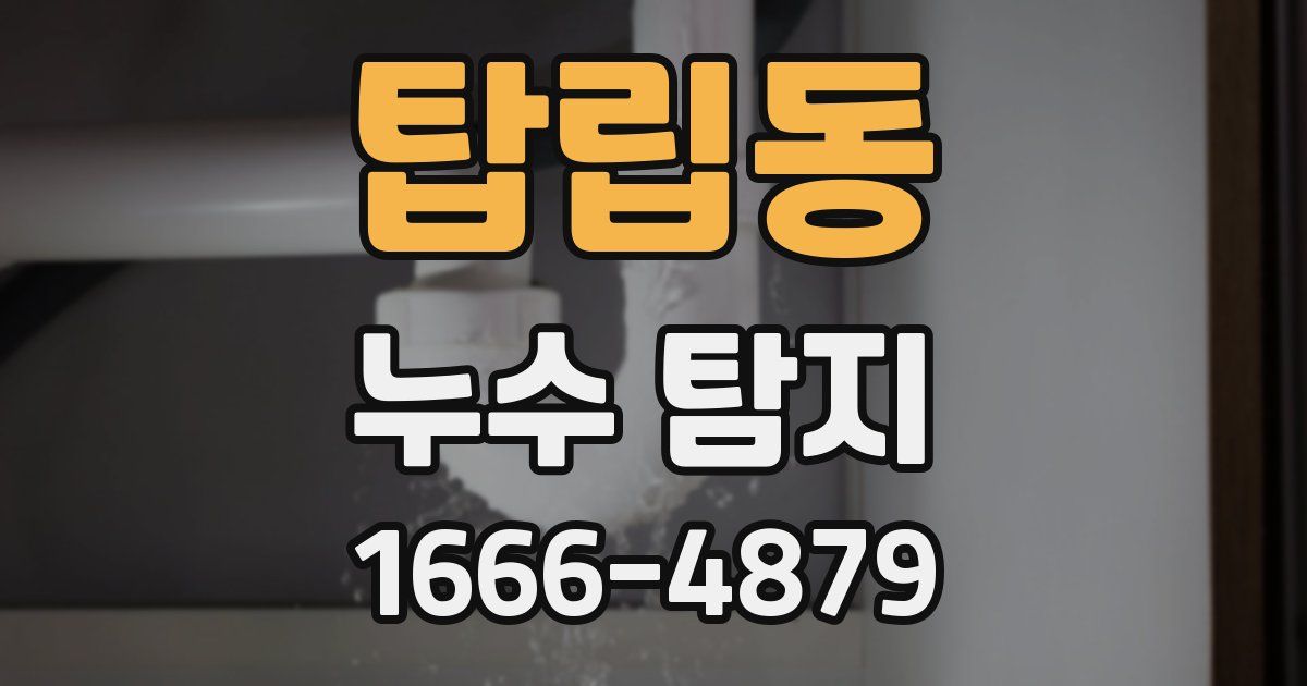 탑립동 누수 탐지