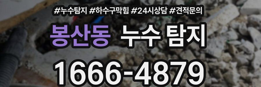 봉산동 누수 탐지
