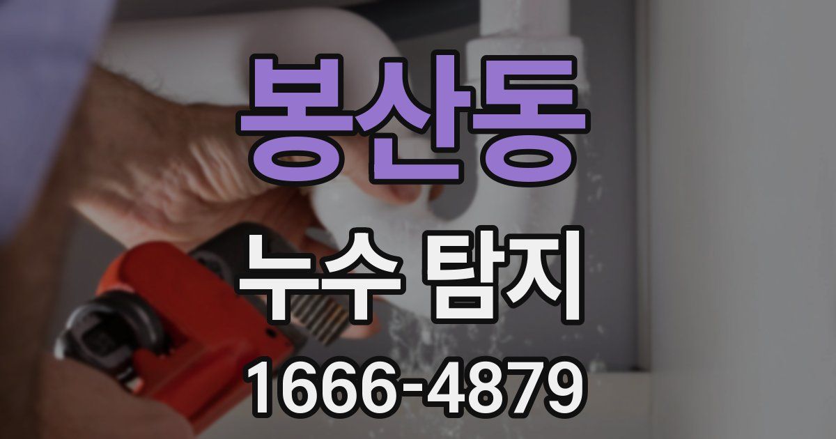 봉산동 누수 탐지