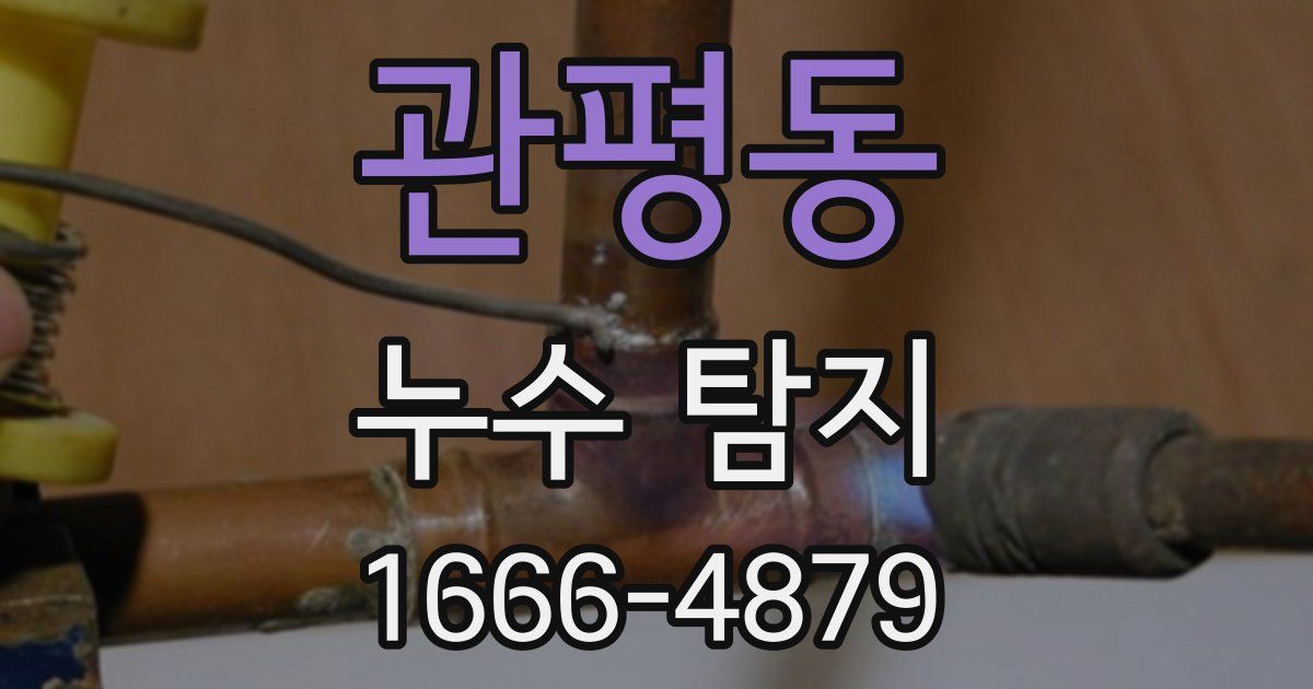 관평동 누수 탐지