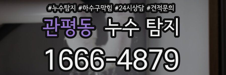 관평동 누수 탐지