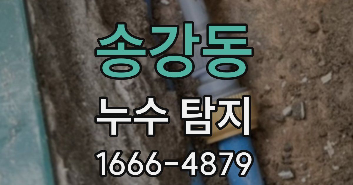 송강동 누수 탐지