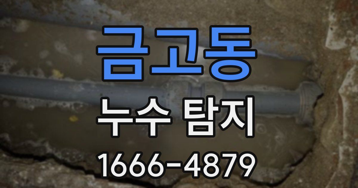 금고동 누수 탐지