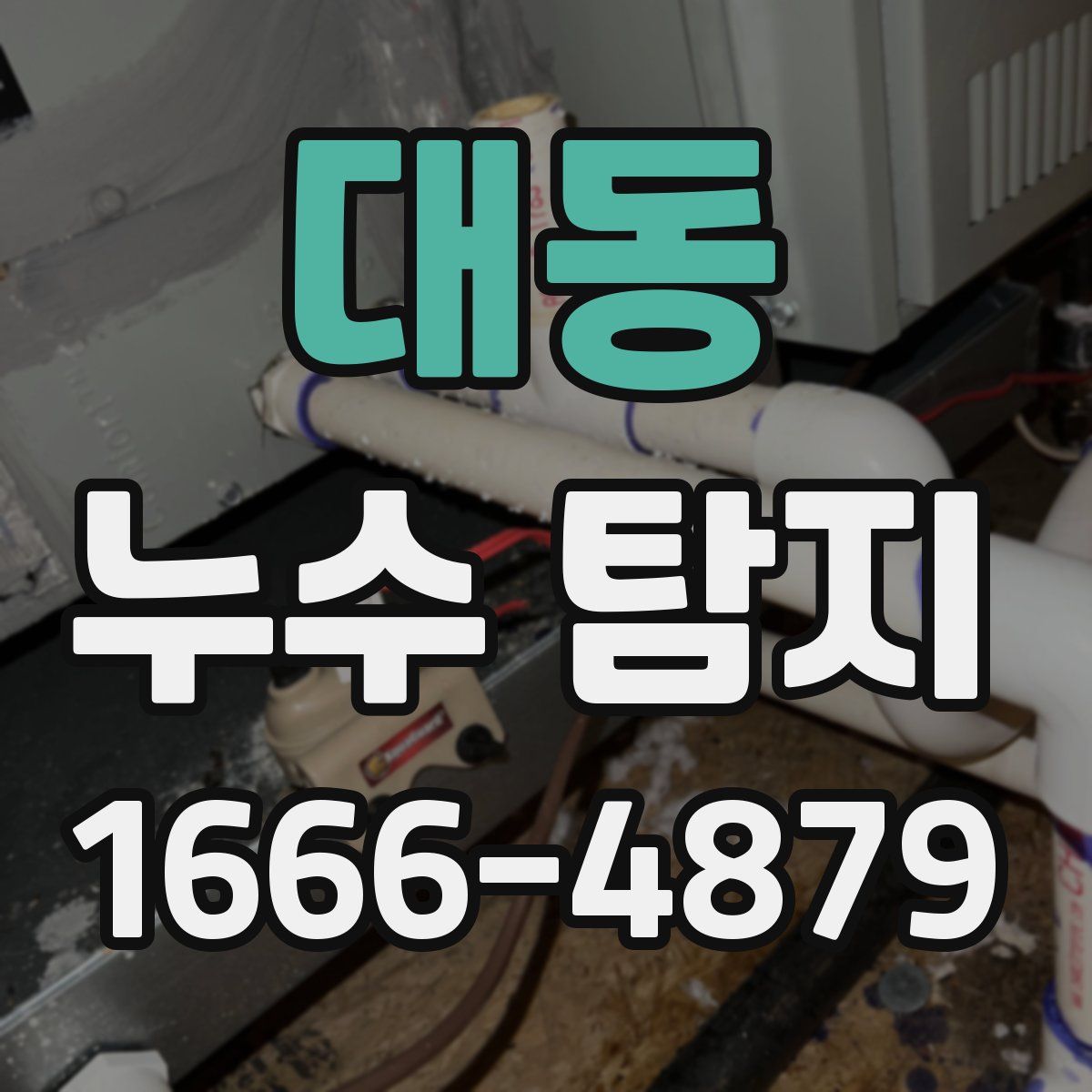 대동 누수 탐지