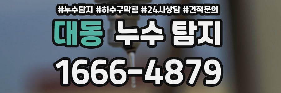 대동 누수 탐지
