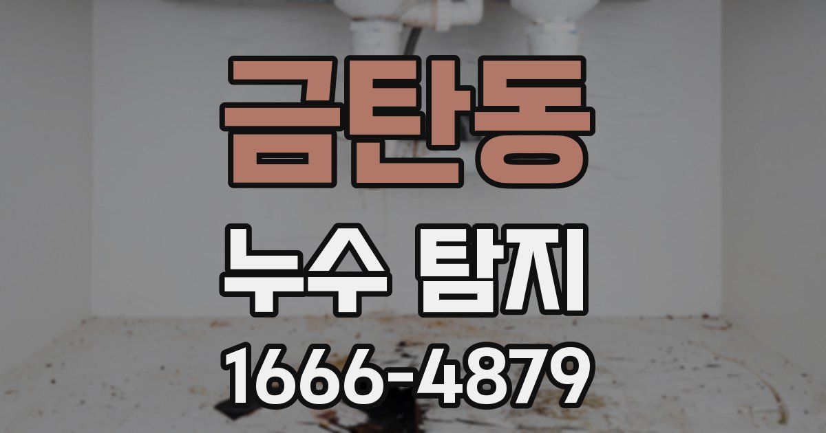 금탄동 누수 탐지