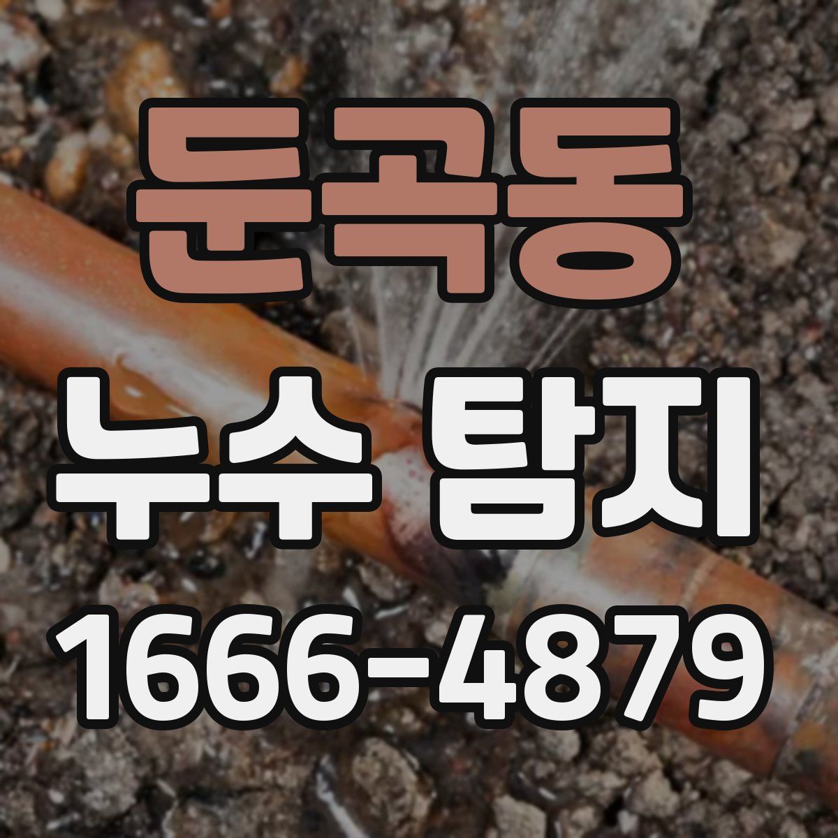둔곡동 누수 탐지