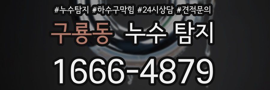 구룡동 누수 탐지