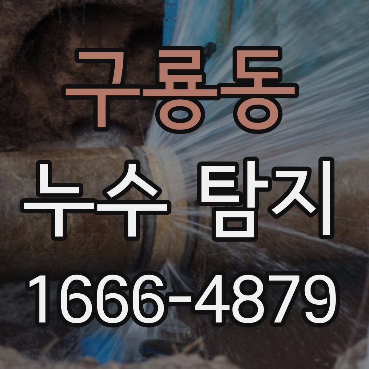 구룡동 누수 탐지