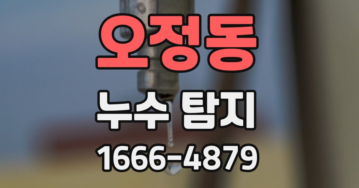 오정동 누수 탐지