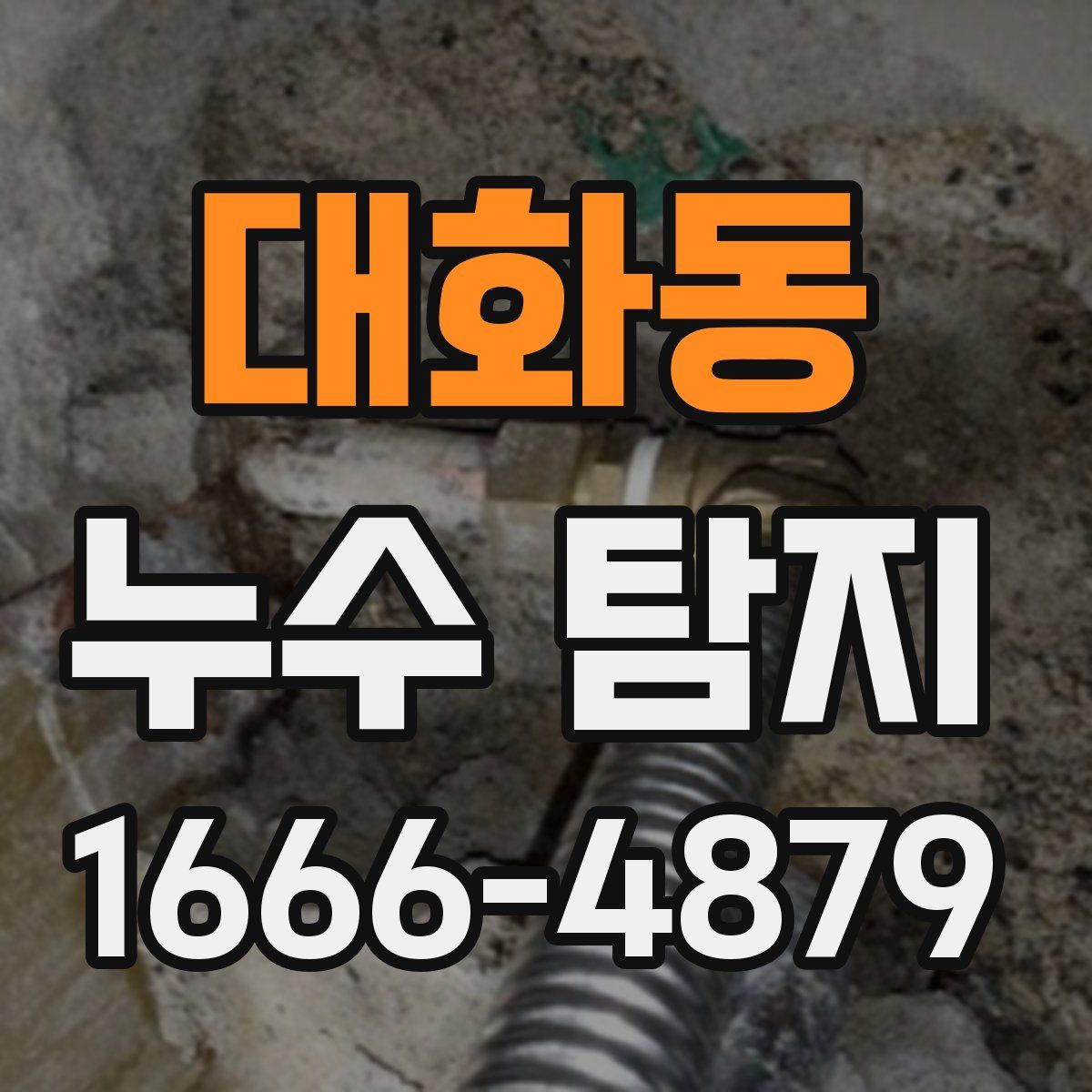 대화동 누수 탐지