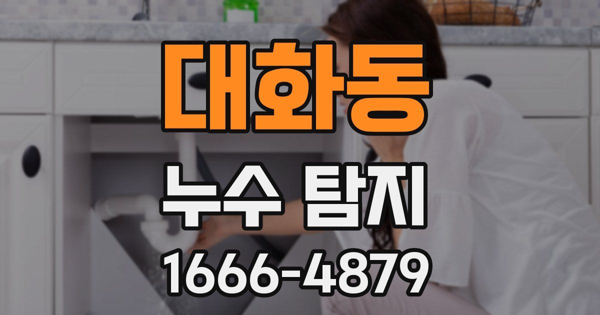 대화동 누수 탐지