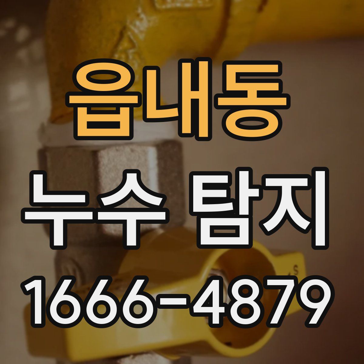 읍내동 누수 탐지
