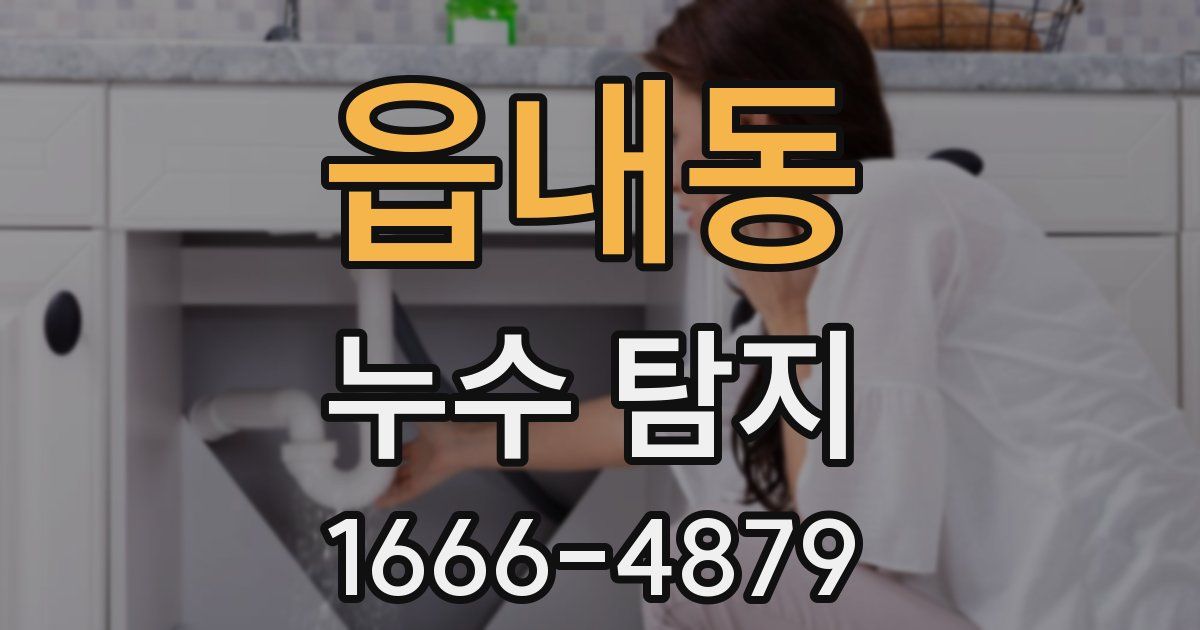 읍내동 누수 탐지