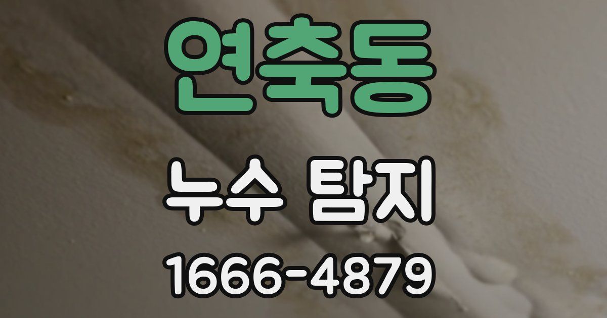 연축동 누수 탐지